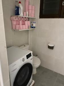 a small bathroom with a washing machine and a toilet at Maison de Campagne in Aussonne