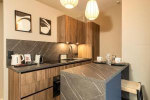 a kitchen with a sink and a counter top at Host Inn Velvy Suite in Lyon