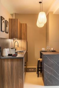 a kitchen with wooden cabinets and a counter top at Host Inn Velvy Suite in Lyon