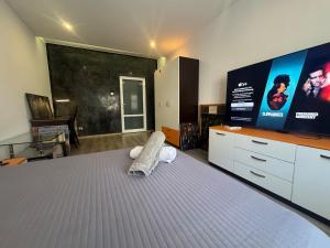 a bedroom with a bed with a large screen at Apartamento Elit in Dimitrovgrad