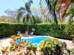 a swimming pool with two chairs in a garden at Casa Ceiba Samara in Sámara