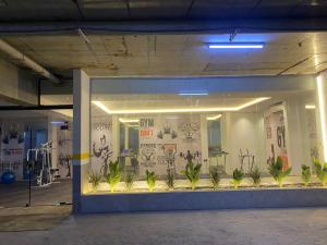 a store window with potted plants in it at Condo in Alramal near to the airport in Riyadh