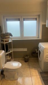 a small bathroom with a toilet and a window at Appartement chic bien situé in Mons +17 photos