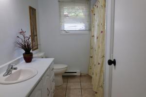 a bathroom with a sink and a toilet and a window at Cute and cozy 3 bedroom apartment centrally located in Moncton +9 photos