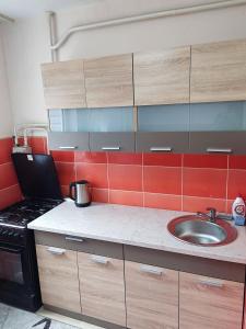 a kitchen with a sink and a stove at Apartament Balti in Bălţi