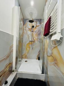 a bathroom with a shower with a painting on the wall at Appartement Lumineux 2 in Tourcoing
