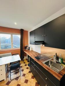a kitchen with a sink and a counter top at Appartement Lumineux 2 in Tourcoing +14 photos