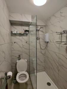 a bathroom with a toilet and a glass shower at Lancing in Lancing