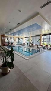 a large swimming pool in a large building at CoyrtYard Longbeach Bölgesi İskele Mersin via 10 Cyprus 99850 TRNC Iskele in Iskele +3 photos