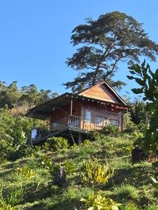 a house on a hill with a tree at Căn gentle home in Da Lat +9 photos