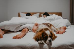 two people laying in a bed with a dog at Designové chalupy v Jeseníkách - Přemyslovské stráně in Kociánov