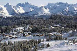 Afbeelding uit fotogalerij van Les Terrasses du Mont blanc in Le Praz de Lys