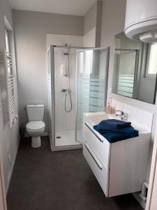 a bathroom with a shower and a toilet and a sink at Jasmin in Nogent-le-Rotrou
