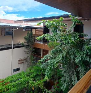 an apartment building with a tree in front of it at Hotel Ostatus in El Pangui