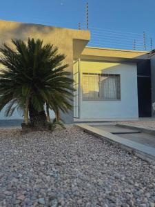 a house with a palm tree in front of it at Tandem - Espacio para dos - Cama King - Parking in Maipú