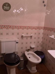 a bathroom with a toilet and a sink at Melodia do Campo in Terras de Bouro +10 photos