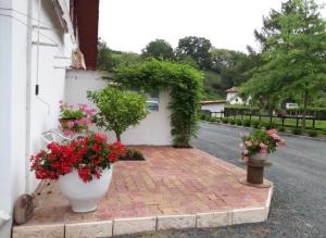 two large vases filled with flowers on a brick sidewalk at Iduski in Saint-Pée-sur-Nivelle +2 photos