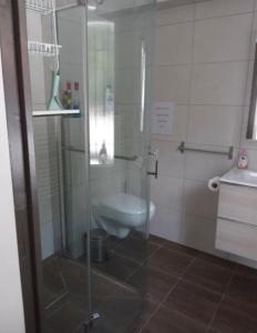 a bathroom with a toilet and a glass shower at Iduski in Saint-Pée-sur-Nivelle
