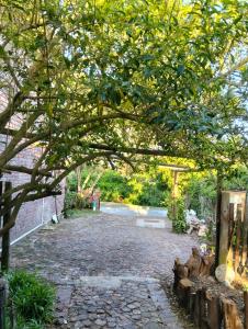a tree over a stone walkway in a garden at The Hidden Corner in Sedgefield