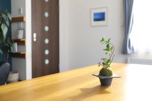 a potted plant sitting on top of a wooden table at FredHouse東川 in Higashikawa