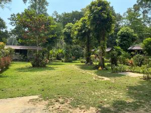 a yard with two trees and a house at Green Garden Bungalow Resort in Ban Khlong Kloi