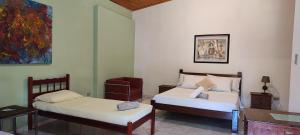 a bedroom with two beds and a painting on the wall at Fazenda Pousada Cachoeira do Flávio in São Thomé das Letras