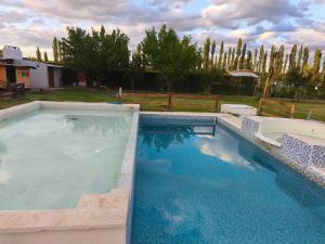 a large swimming pool with blue water in a yard at Cabañas Tierra del molino in General Alvear
