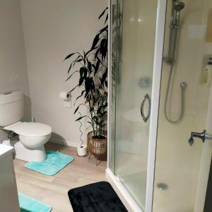 a bathroom with a shower and a potted plant at One8Endeavour in Tauranga