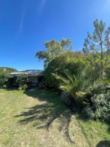 a house with a palm tree in the yard at Las calandrias in Barrio Copacabana