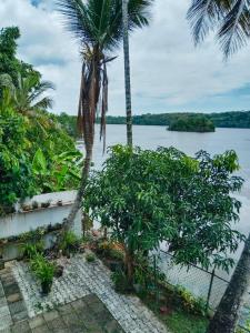 a view of a body of water with palm trees at Lagoon Stay in Moraketiara