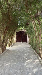 a tunnel of trees with a gate and a walkway at iBiZa Hostel in Beni Suef