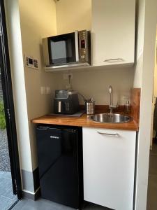 a small kitchen with a sink and a microwave at RIVERVIEW in Saint-Pierre +28 photos