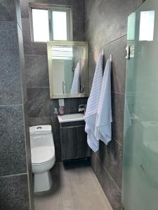 a bathroom with a toilet and a sink and a mirror at comfortable and nice loft, great location in Aguascalientes