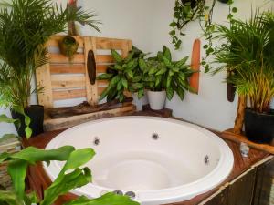 a bath tub with a bunch of potted plants at HOUSE IBIS Salento in Salento +13 photos