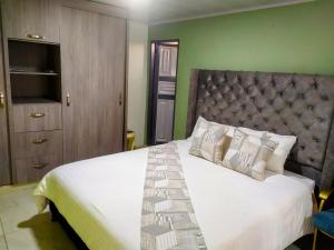 a bedroom with a large bed and a green wall at HOUSE IBIS Salento in Salento