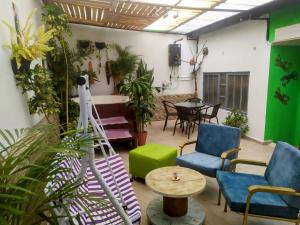 a room with plants and chairs and a table at HOUSE IBIS Salento in Salento