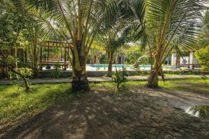 a group of palm trees in a park at GGuesthouse in Kuta Lombok +34 photos