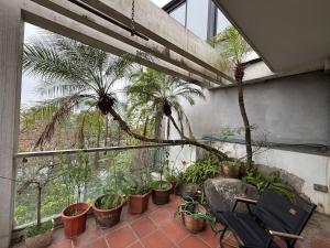 a balcony with palm trees and a chair in front of a window at Spuds&Bunks Hostel in Hanoi +8 photos