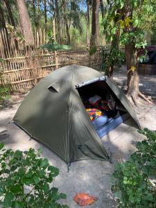 a green tent sitting on the ground next to a tree at Uwak Gallery in Zambales