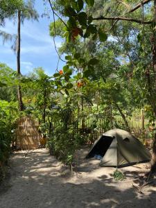a tent in the shade of a tree at Uwak Gallery in Zambales