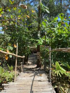 a wooden path in the middle of a forest at Uwak Gallery in Zambales