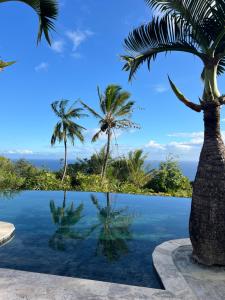 a pool with a palm tree and the ocean at La Belle du Sud in Saint-Joseph