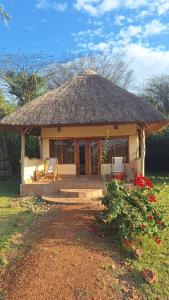 a hut with a thatched roof and chairs in a field at Olaloi Mara Camp in Masai Mara