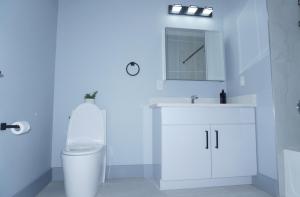 a bathroom with a toilet and a sink and a mirror at Big apple room 33 in West New York