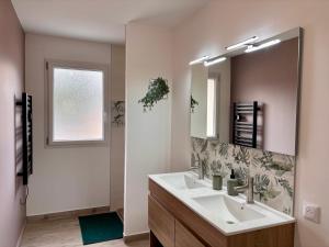 a bathroom with a sink and a large mirror at maison 24 couchages in Clermont-Créans +67 photos