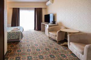 a hotel room with a bed couch and a tv at Hotel Romanita in Baia Mare