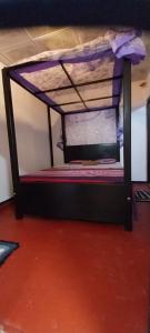 a bunk bed in a room with a red carpet at Mango Mango in Tangalle