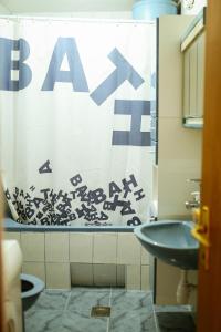 a bathroom with a shower curtain and a sink at Domaćinstvo Koprivica in Zapolje