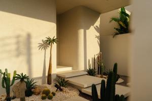 a room with a bunch of cactuses and plants at PRAN MARE Pranburi in Ban Nong Ban Kao