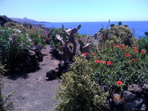 a garden with flowers and plants on a mountain at Attico La Navicella in Pantelleria